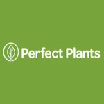 Perfect Plants