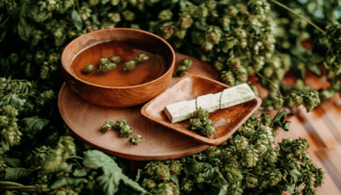 Natural Extracts for Wellness