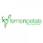 Ferns N Petals SG