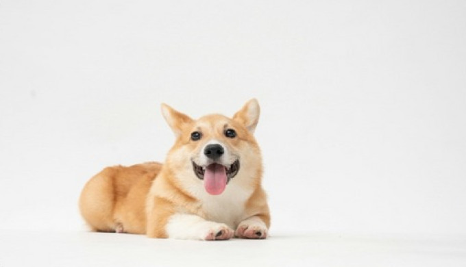 myoovi-cover-(1).jpg