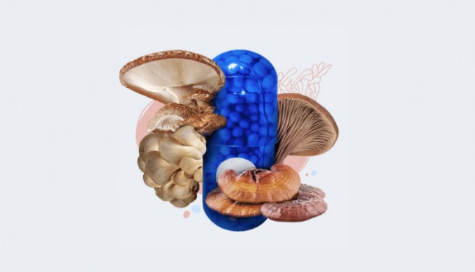 myoovi-cover-(1).jpg